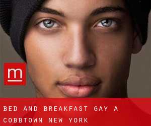 Bed and Breakfast Gay a Cobbtown (New York)