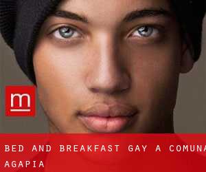 Bed and Breakfast Gay a Comuna Agapia