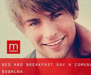 Bed and Breakfast Gay a Comuna Bobâlna