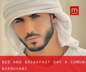Bed and Breakfast Gay a Comuna Borduşani