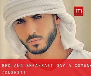 Bed and Breakfast Gay a Comuna Icuseşti