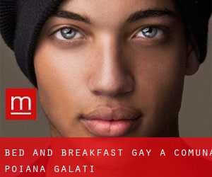 Bed and Breakfast Gay a Comuna Poiana (Galaţi)