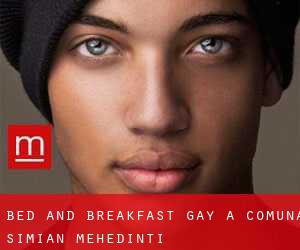Bed and Breakfast Gay a Comuna Simian (Mehedinţi)
