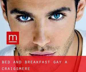 Bed and Breakfast Gay a Craigsmere