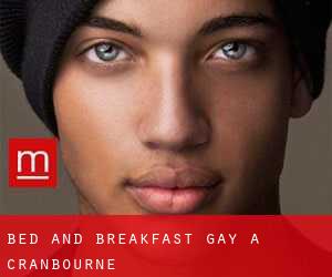 Bed and Breakfast Gay a Cranbourne
