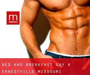 Bed and Breakfast Gay a Ernestville (Missouri)