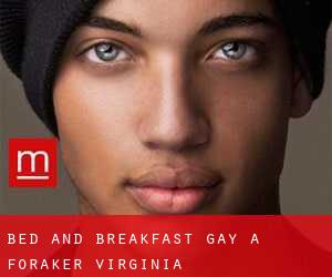 Bed and Breakfast Gay a Foraker (Virginia)