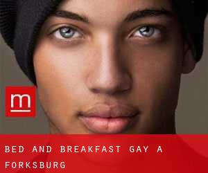 Bed and Breakfast Gay a Forksburg