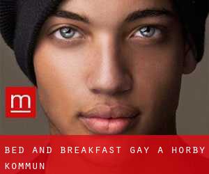 Bed and Breakfast Gay a Hörby Kommun