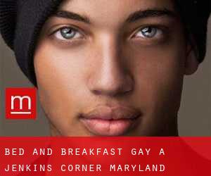 Bed and Breakfast Gay a Jenkins Corner (Maryland)