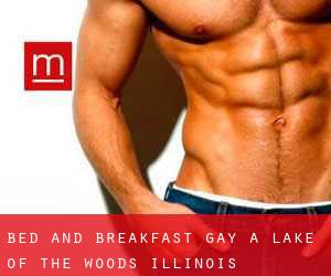 Bed and Breakfast Gay a Lake of the Woods (Illinois)
