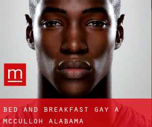 Bed and Breakfast Gay a McCulloh (Alabama)