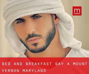 Bed and Breakfast Gay a Mount Vernon (Maryland)