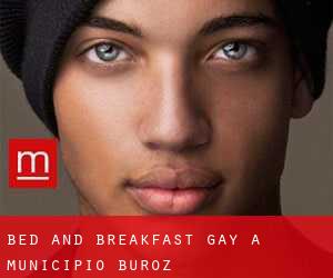 Bed and Breakfast Gay a Municipio Buroz