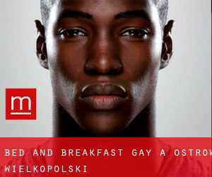 Bed and Breakfast Gay a Ostrów Wielkopolski