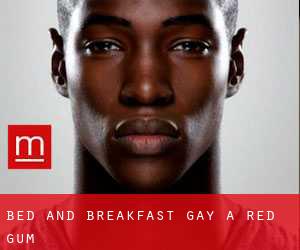 Bed and Breakfast Gay a Red Gum