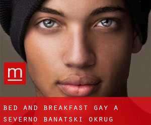 Bed and Breakfast Gay a Severno Banatski Okrug