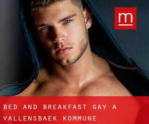 Bed and Breakfast Gay a Vallensbæk Kommune