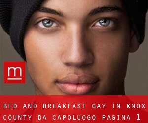 Bed and Breakfast Gay in Knox County da capoluogo - pagina 1