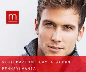 Sistemazione Gay a Acorn (Pennsylvania)