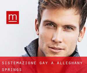Sistemazione Gay a Alleghany Springs