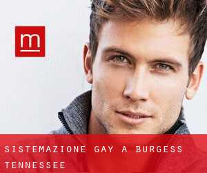 Sistemazione Gay a Burgess (Tennessee)