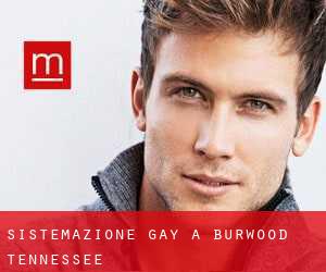 Sistemazione Gay a Burwood (Tennessee)