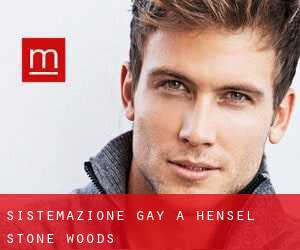 Sistemazione Gay a Hensel Stone Woods