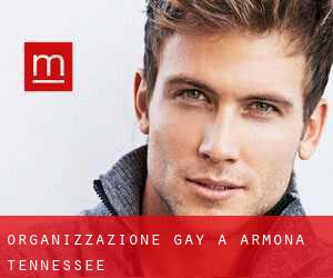 Organizzazione Gay a Armona (Tennessee)