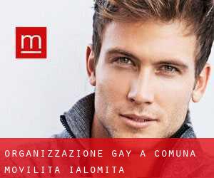 Organizzazione Gay a Comuna Moviliţa (Ialomiţa)