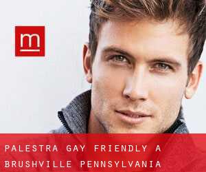 Palestra Gay Friendly a Brushville (Pennsylvania)