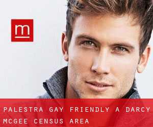 Palestra Gay Friendly a D'Arcy-McGee (census area)
