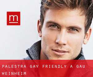 Palestra Gay Friendly a Gau-Weinheim