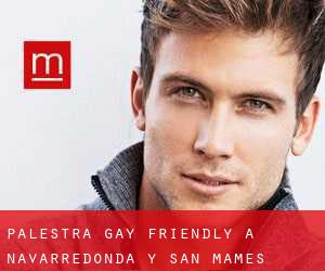 Palestra Gay Friendly a Navarredonda y San Mamés
