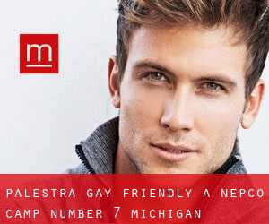 Palestra Gay Friendly a Nepco Camp Number 7 (Michigan)