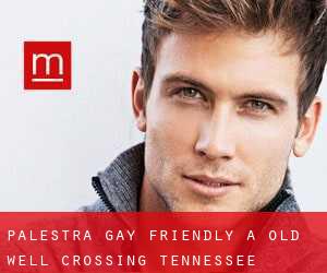 Palestra Gay Friendly a Old Well Crossing (Tennessee)