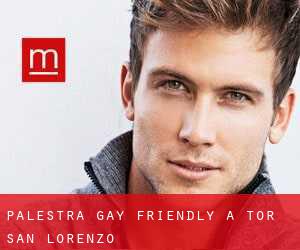 Palestra Gay Friendly a Tor San Lorenzo
