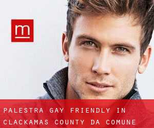 Palestra Gay Friendly in Clackamas County da comune - pagina 3