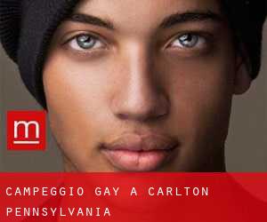 Campeggio Gay a Carlton (Pennsylvania)