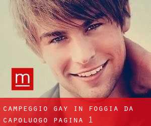 Campeggio Gay in Foggia da capoluogo - pagina 1