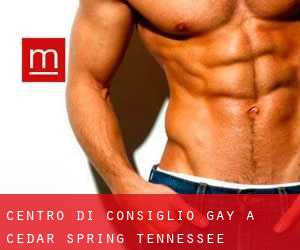 Centro di Consiglio Gay a Cedar Spring (Tennessee)