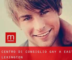 Centro di Consiglio Gay a East Lexington