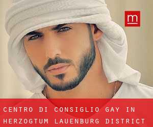 Centro di Consiglio Gay in Herzogtum Lauenburg District da metro - pagina 2