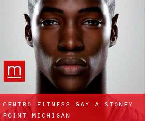 Centro Fitness Gay a Stoney Point (Michigan)