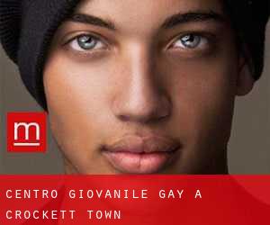 Centro Giovanile Gay a Crockett Town