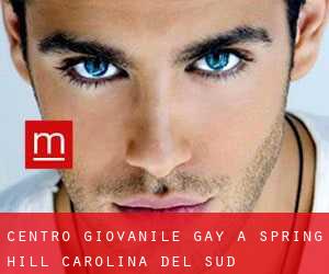 Centro Giovanile Gay a Spring Hill (Carolina del Sud)