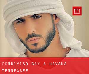 Condiviso Gay a Havana (Tennessee)