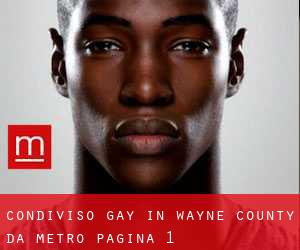 Condiviso Gay in Wayne County da metro - pagina 1