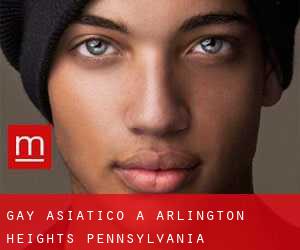 Gay Asiatico a Arlington Heights (Pennsylvania)