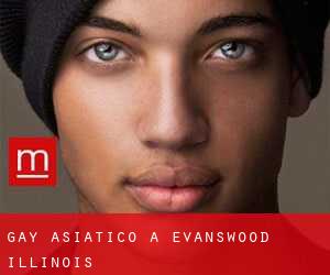 Gay Asiatico a Evanswood (Illinois)